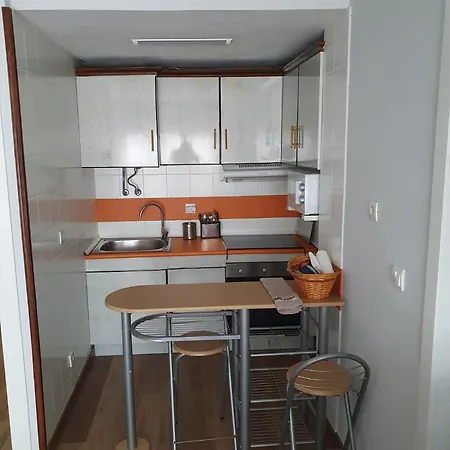 Vistas Monte Naranco Con Parking 5euros Al Dia Apartment *